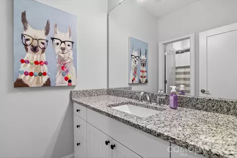 Bath - 332 Sensibility Cir, Fort Mill, SC 29708 photo 1 of 1