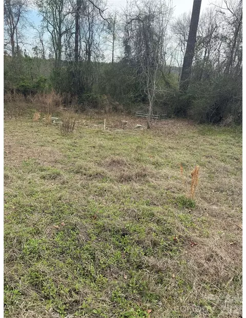 Other - 38 Short Eason Rd, Ruby, SC 29741 photo 7 of 7