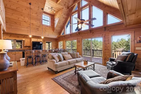 Other - 105 Palisade Dr, Mill Spring, NC 28756 photo 4 of 19