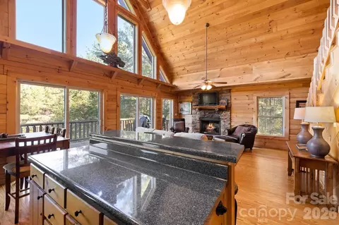 Other - 105 Palisade Dr, Mill Spring, NC 28756 photo 8 of 19