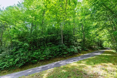 46 Widgeon Way, Whittier, NC 28789