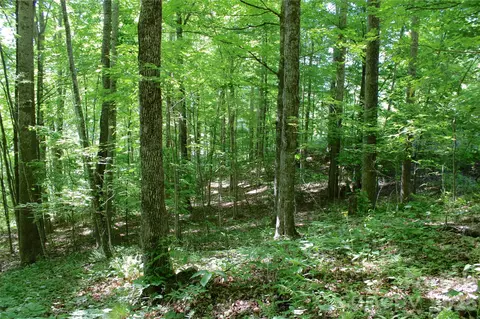 00 Wildwood Dr, Burnsville, NC 28714