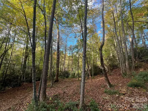 6 Dividing Ridge 01 Trl #01, Arden, NC 28704