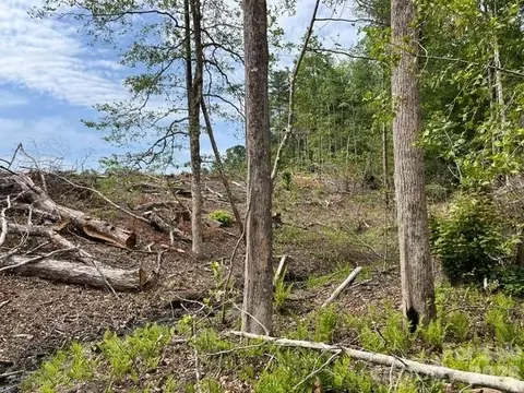 Fowler Road, Granite Falls, NC 28630 photo 18