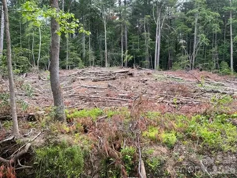 Fowler Road, Granite Falls, NC 28630 photo 12