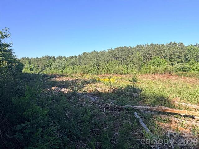 132 Forest City Homes For Sale &amp; Forest City, NC Real Estate - Movoto