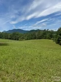 0 Smith Waldrop Rd, Mill Spring, NC 28756