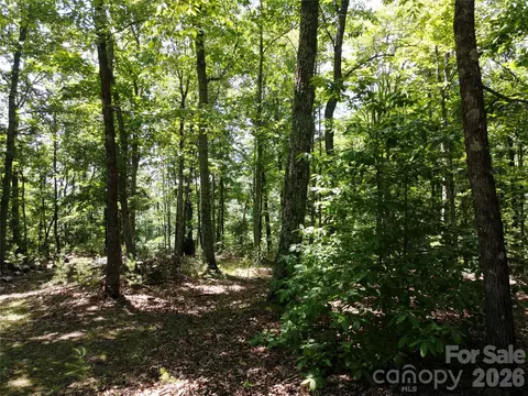 118 Upper Ridge Rd, Bostic, NC 28018 photo 11