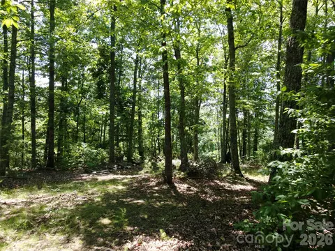 118 Upper Ridge Rd, Bostic, NC 28018 photo 10