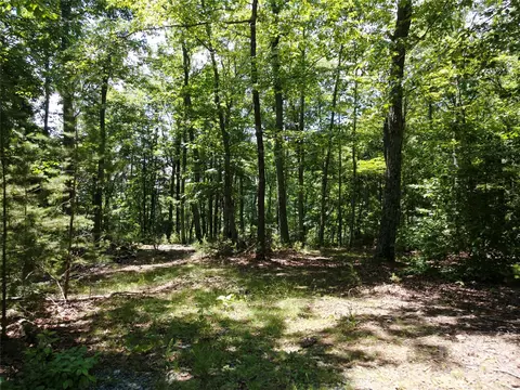 118 Upper Ridge Rd, Bostic, NC 28018 photo 13