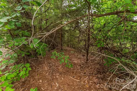 Other - 0 Brighton 237 Dr #237, Bostic, NC 28018 photo 13 of 18