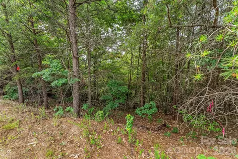 Other - 0 Brighton 237 Dr #237, Bostic, NC 28018 photo 12 of 18
