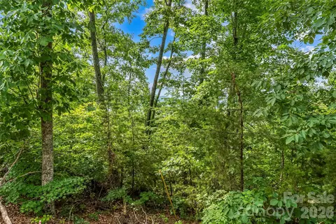 Other - 0 Brighton 237 Dr #237, Bostic, NC 28018 photo 11 of 18
