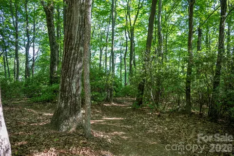 Toxaway Drive, Lake Toxaway, NC 28747