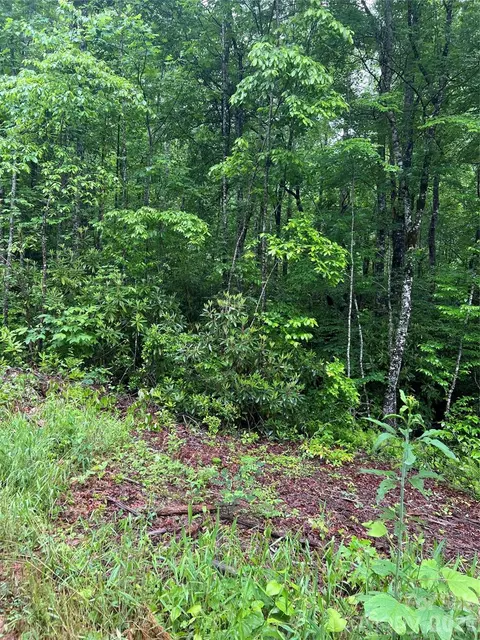 Undisclosed, Sylva, NC 28779 photo 3