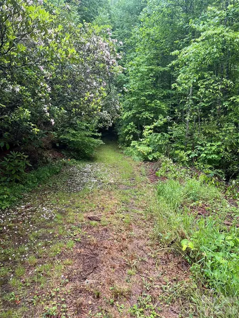 Undisclosed, Sylva, NC 28779 photo 2