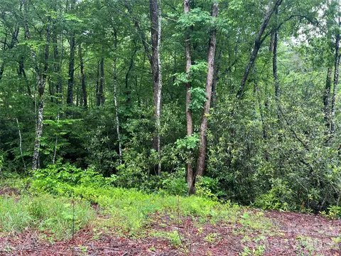 Undisclosed, Sylva, NC 28779