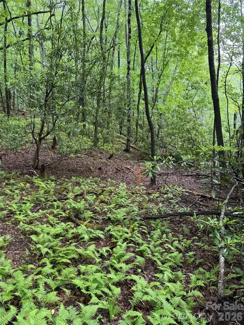 Cherrywood Lane, Pisgah Forest, NC 28768