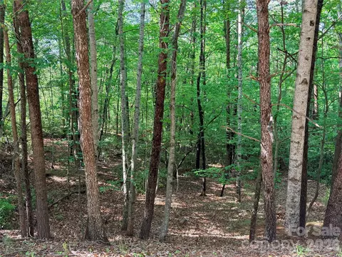0 Mcdaniel Ct, Lake Lure, NC 28746
