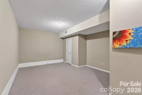 00 Misery Ridge Trl, Mill Spring, NC 28756 photo 32