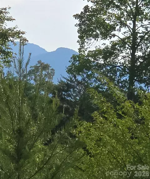 00 Misery Ridge Trl, Mill Spring, NC 28756 photo 8
