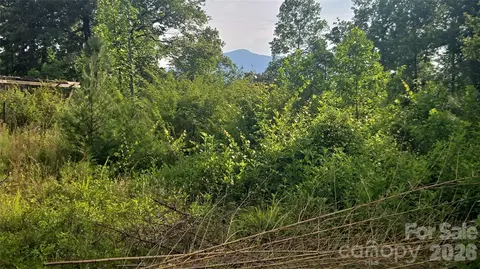 00 Misery Ridge Trl, Mill Spring, NC 28756 photo 45