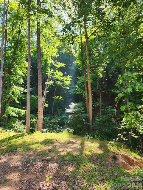 Boone Gap Lane, Taylorsville, NC 28681