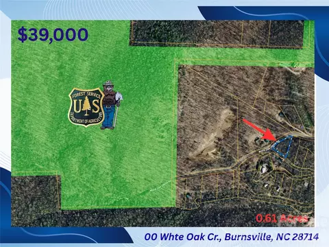 000 Laurel Circle Rd, Burnsville, NC 28714