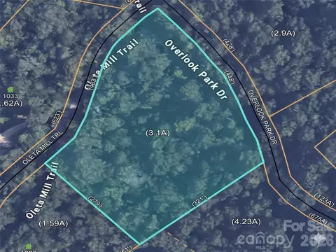 1034 Oleta Mill 49 Trl #49, Hendersonville, NC 28792