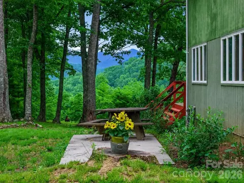 820 Wild Rose Ln, Burnsville, NC 28714