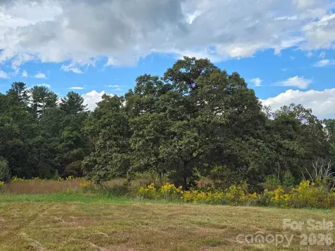 000 Cook 2487 Acres Ln #24.87 ACRES, Mills River, NC 28759