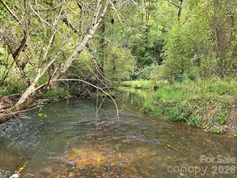 000 Cook 2487 Acres Ln #24.87 ACRES, Mills River, NC 28759