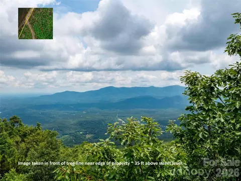 288 Eastman Pl, Mill Spring, NC 28756