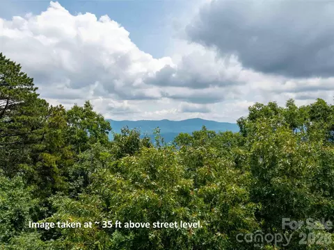 288 Eastman Pl, Mill Spring, NC 28756 photo 3
