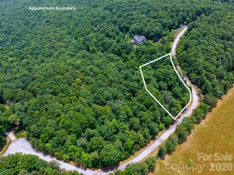 288 Eastman Pl, Mill Spring, NC 28756 photo 11