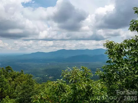 288 Eastman Pl, Mill Spring, NC 28756 photo 6