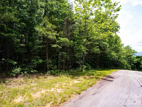 288 Eastman Pl, Mill Spring, NC 28756 photo 15