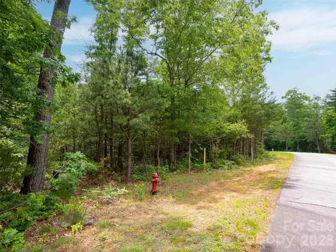 288 Eastman Pl, Mill Spring, NC 28756 photo 10