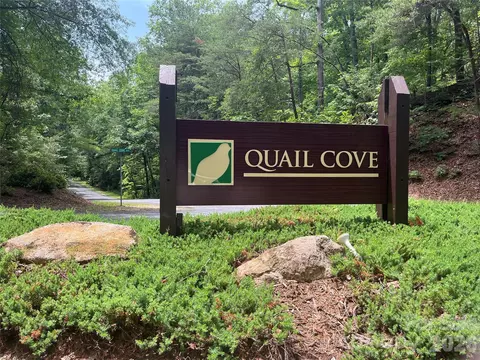 155 Quail Cove Apt 1608 Blvd # 1608, Lake Lure, NC 28746