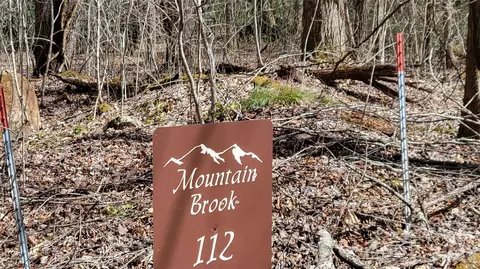 112 Rainbow Trout Rd, Burnsville, NC 28714