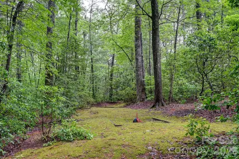 Exterior - 29 Shadow Brook Dr, Flat Rock, NC 28731 photo 8 of 11