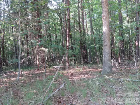 262 Flat Rock Rd, Forest City, NC 28043 photo 21