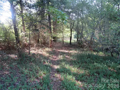 262 Flat Rock Rd, Forest City, NC 28043 photo 29
