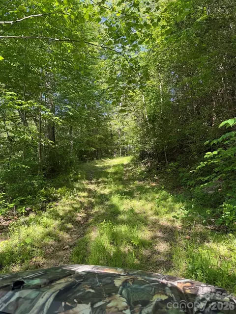 Parker Padgett Road, Old Fort, NC 28762