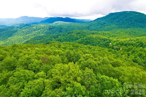 215 Laurel Mountain 10 Trl #10, Black Mountain, NC 28711