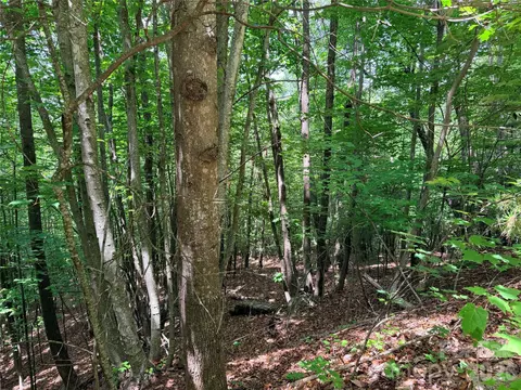 Warren 132a Way #132A, Purlear, NC 28665 photo 6