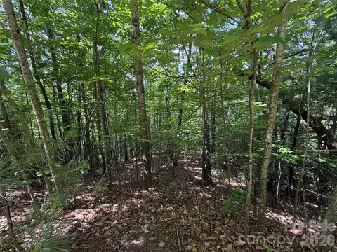 Warren 132a Way #132A, Purlear, NC 28665 photo 2