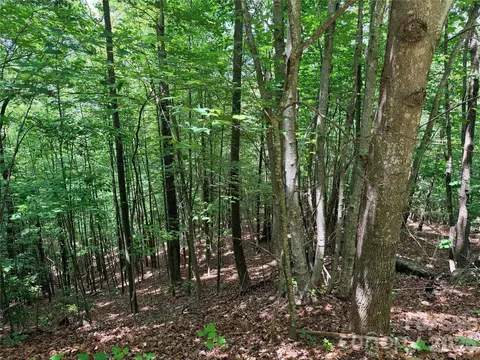 Warren 132a Way #132A, Purlear, NC 28665 photo 5