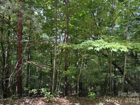 Warren 132a Way #132A, Purlear, NC 28665
