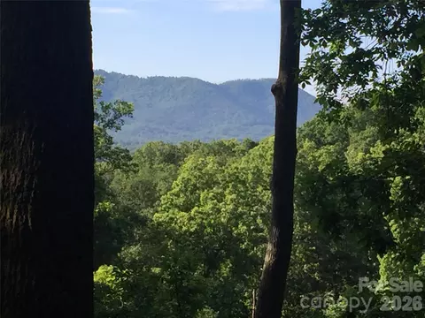 20 Lagrange Dr, Asheville, NC 28805